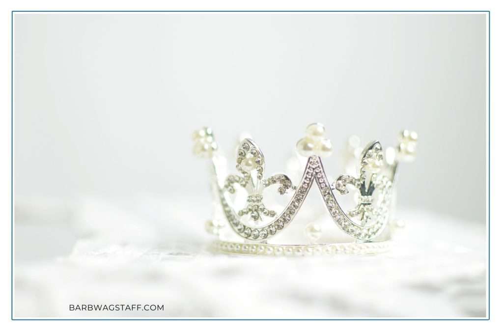 silver crown sitting on a white backdrop