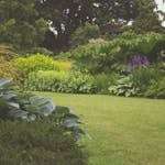A lush backyard garden with vibrant plants and manicured lawn, ideal for a relaxing outdoor space.