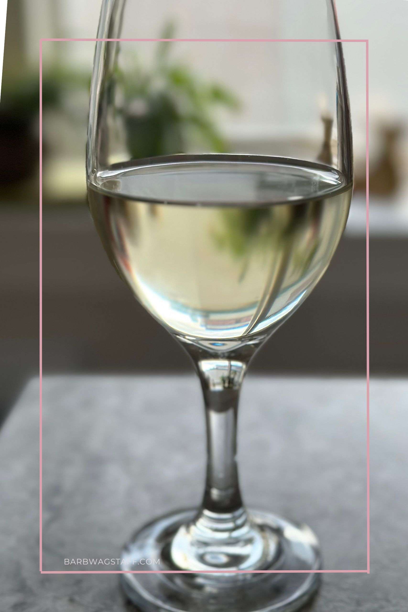 wine glass filled with white wine sitting on a counter top in front of a window holding plants.